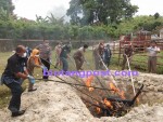 800 Kilogram Daging Celeng asal OKI, Diimusnahkan