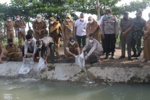 Bupati Pringsewu Launching Program Gerbang Ikan Desa