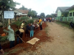 Padat Karya Tunai(PKT) di Pekon Tritunggal Serap 200 Tenaga Kerja.