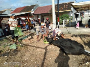 Warga Perumahan Bumi Waras I Pringsewu Potong Hewan Qurban