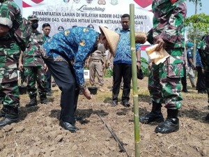 Dukung Program Ketahanan Pangan Dengan Pemanfaatan Lahan Tidur