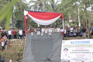 Gubernur Lampung Tabur Benih Ikan di Way Bulok Pringsewu
