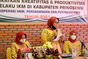 Dekranasda Dan Diskoperindag Pringsewu Gelar Pelatihan Inovasi Kerajinan Tapis