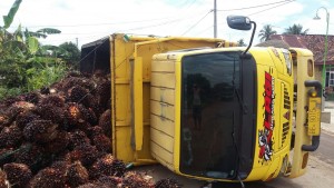 Akibat Jalan Rusak Dan Berlubang, Mobil Truk Sawit Terguling