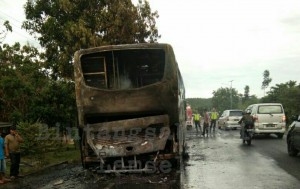 Bus Damri Terbakar