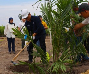 PTPN IV PalmCo Targetkan 2,1 Juta Bibit Unggul Diserap Petani Hingga 2024