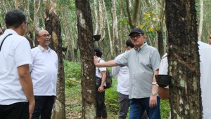 Tim PTPN III Tinjau Operasional 4 Kebun PTPN I Reg.7