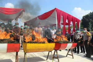 Polres Lamsel Musnahkan 58 Kg Ganja dan 17,5 Kg Sabu