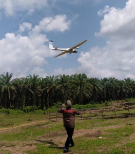 Implementasikan GIS, PTPN VII Foto Kebun dengan Pesawat UAV