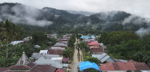 Dorong Pertumbuhan Ekonomi, PLN Terangi Ratusan Kepala Keluarga pada Desa Terpencil di Sultra.