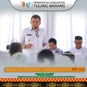 Hadiri Rakor Kecamatan Penawartama, Ini Harapan Wabup Tuba Hankam Hasan