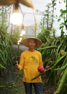 Kisah Sukses Petani Banyuwangi Raup Omzet Ratusan Juta Rupiah Berkat Listrik PLN.