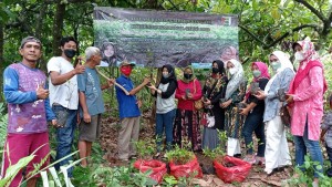 Peringati HPN, IKWI Pesawaran bagikan Bibit Cengkeh Ke Petani