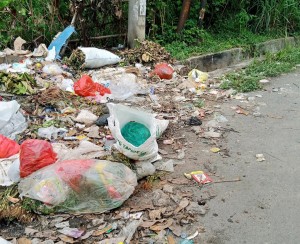 Bersama Hadapi Krisis Sampah: Tindakan Kecil, Perubahan Besar