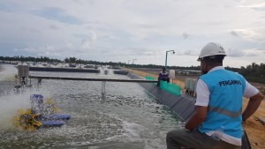 Dukung Produktivitas, PLN Siap Pasok Listrik 65 MVA ke Kawasan Tambak Udang di Sulteng.