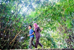 Tinjau Jembatan Gantung Di Desa Sukaraja, Ini Kata Bupati Pesawaran
