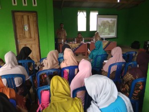 Pemantauan Program Gerbang Desa Saburai Di Pekon Selapan .