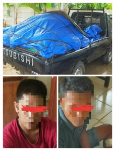 Polsek Talang Padang Ungkap Kasus Pencurian Mobil Di Gunung Alip.