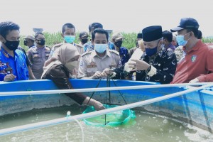 Pemda Pringsewu Beri Bantuan Kelompok Perikanan